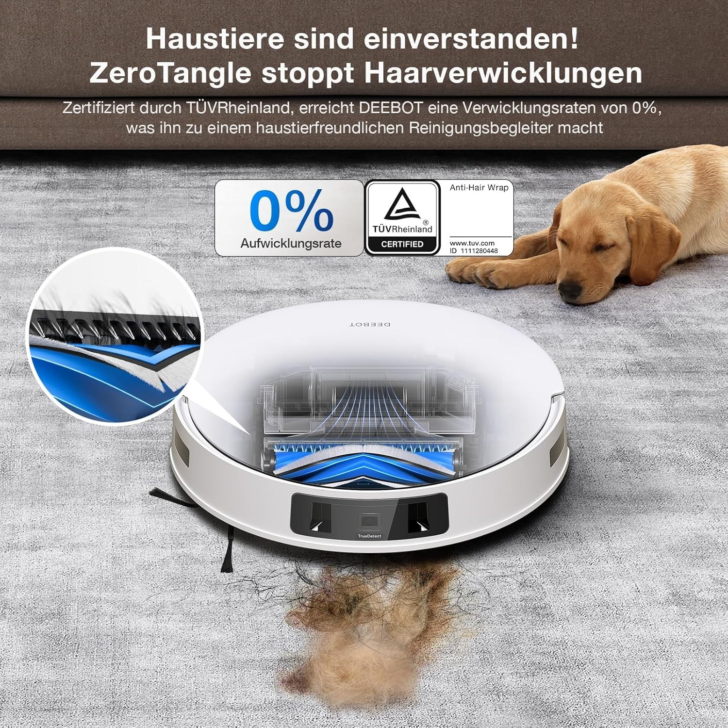 Bild 6 von 10