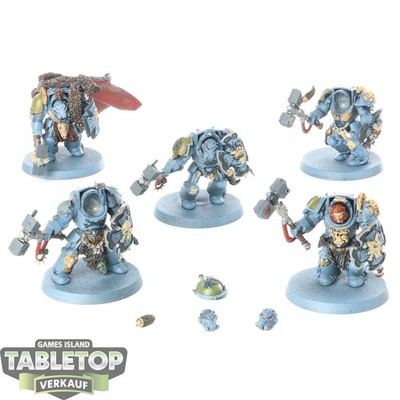 Space Wolves - 5x Wolf Guard Terminators klassisch - bemalt