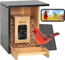 Smart Bird Feeder with Camera, High-End Bamboo, Mini in Size, Solar Powered, Aut