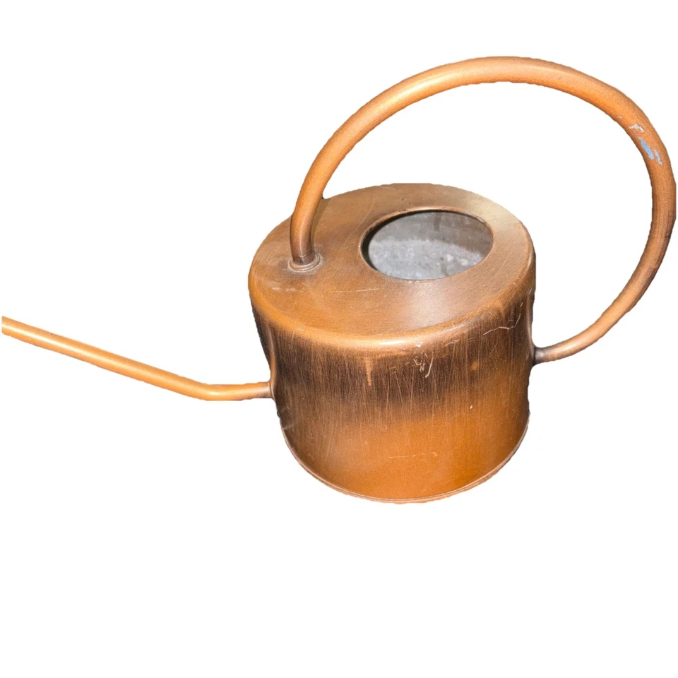 LATA DE AGUA estilo ART DECO violetas orquídeas mango arqueado caño largo de colección Foto 4 de 4