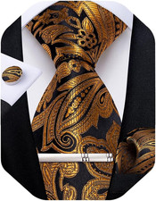 Paisley Ties for Men Silk Necktie and Pocket Square Cufflinks Tie Clip Set Woven