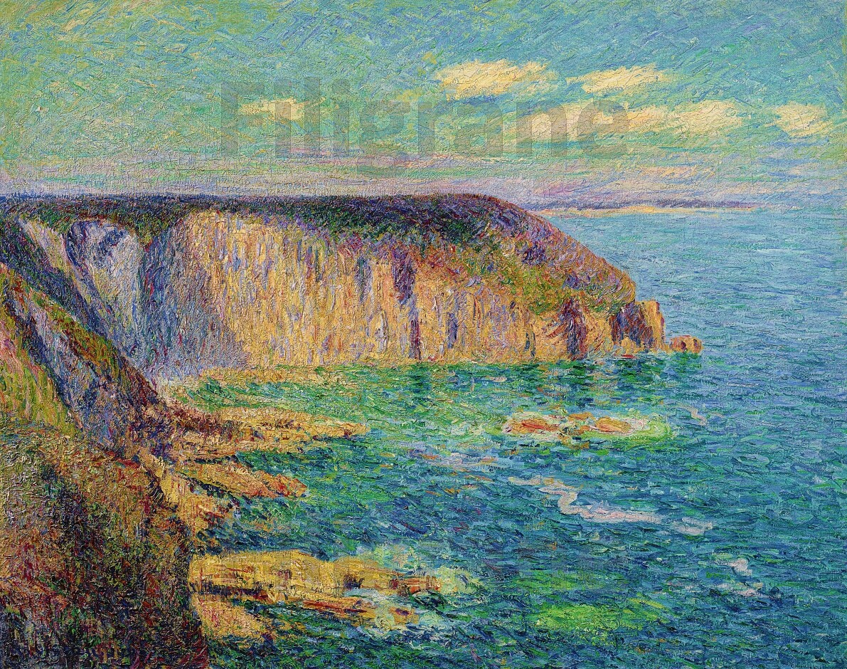 Tableau Loiseau Cap Fréhel 40x60cm pour créer une ambiance bord de mer dans votre salon