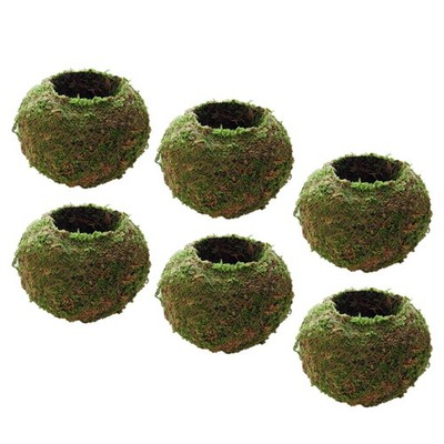 6xCreative Moss Ball Blumentopf Pflanzer Bonsai Pflanzenhalter Hausgarten 9cm