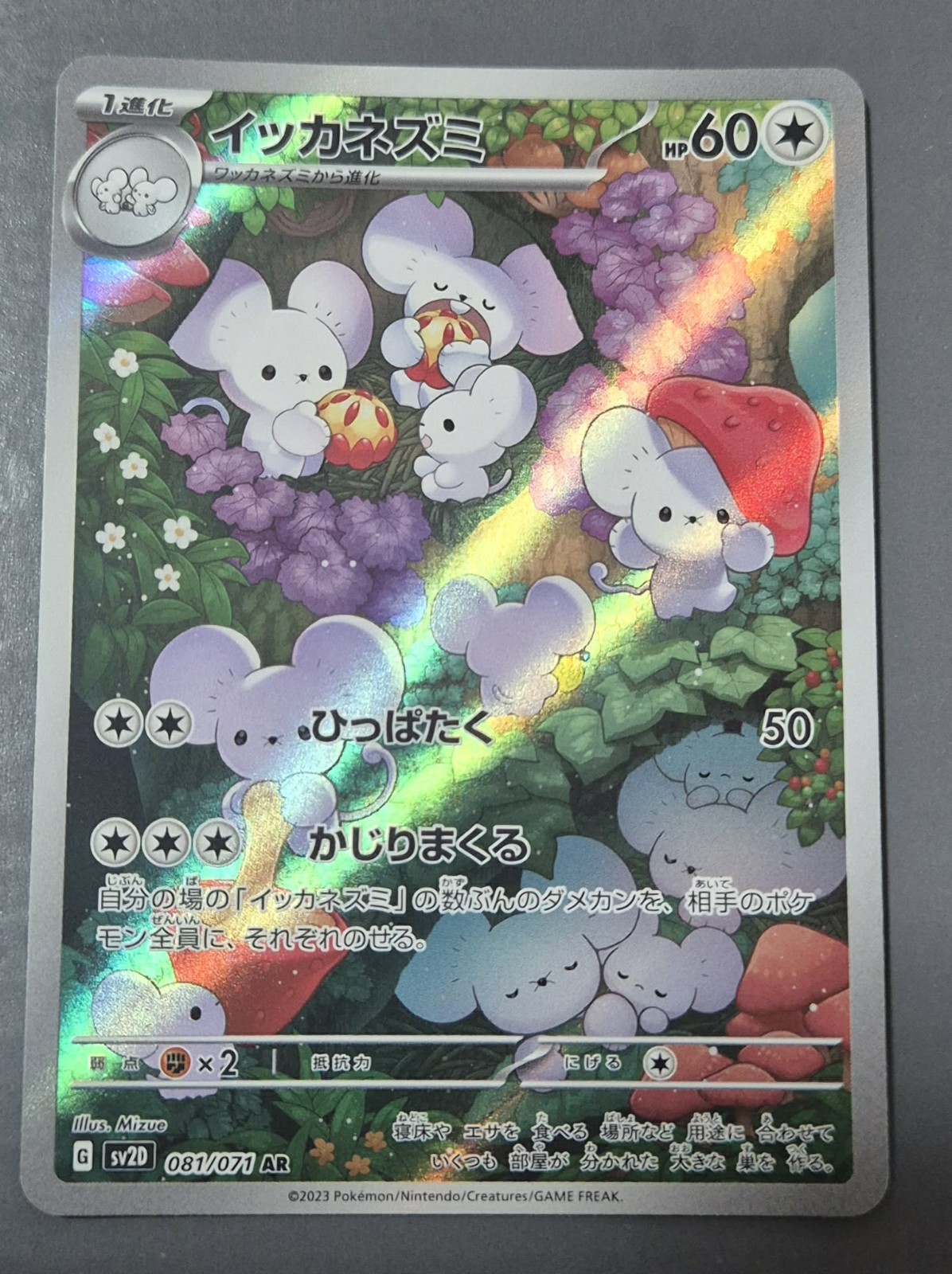 Pokemon TCG Clay Burst Maushold #81/71 AR Holo Japanese Sv2d NM