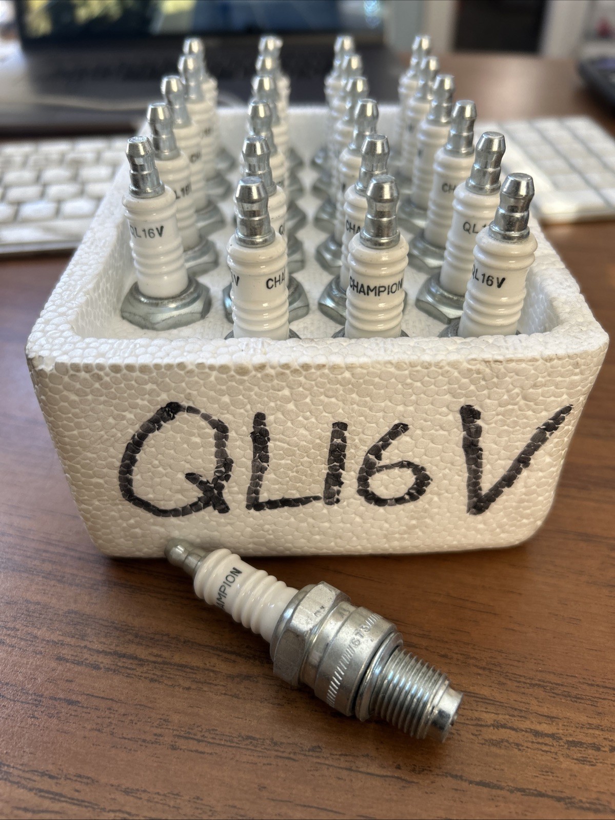 Champion 876 QL16V Spark Plug Genuine OEM BRAND NEW SHOP PACK QUANTITY 24