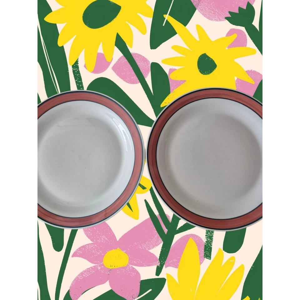 Juego de 2 platos de cena Oneida de gres blanco óxido verde azulado oscuro opción informal raro Foto 3 de 4