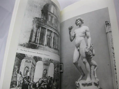 Origins & Last Days of the Renaissance Europe Florence Venice Sigonio 6 Books - Picture 8 of 8