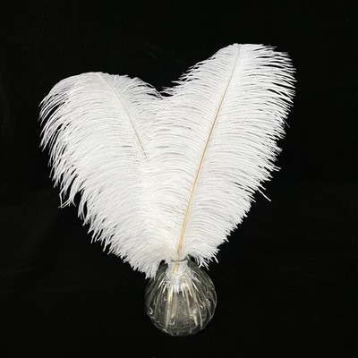 Happy Feather 10 pcs Ostrich Feathers Centerpiece 14-16inch-10pcs, white