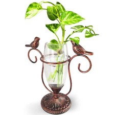 Vintage Glass Plant Propagation Station Terrarium Vases for Home and Office