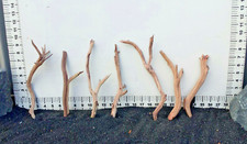 Aquarium Driftwood Branch Aquarium / Reptile Decor from Manzanita Direct 0414-1