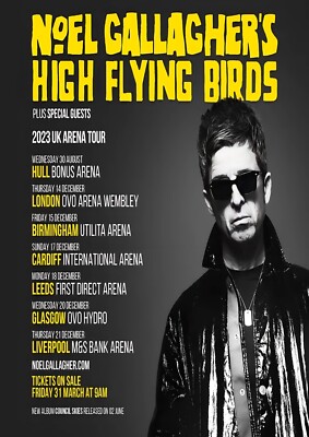 Album Noel Gallagher Occhiali Da Sole Noel Gallagher High Flying