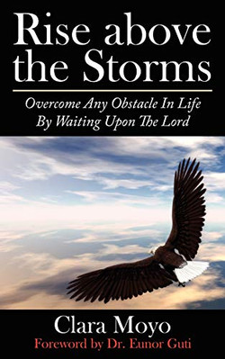 Rise above the Storms: Overcome Any Hindernis in Life von - NEU Clara Moyo 2007