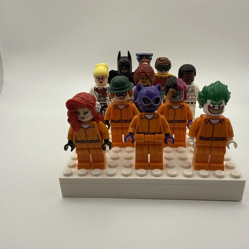 Lego Batman Arkham Asylum Mini Figuras: Hiedra Venenosa y Dr. Harleen Quinzel+más Foto 3 de 4