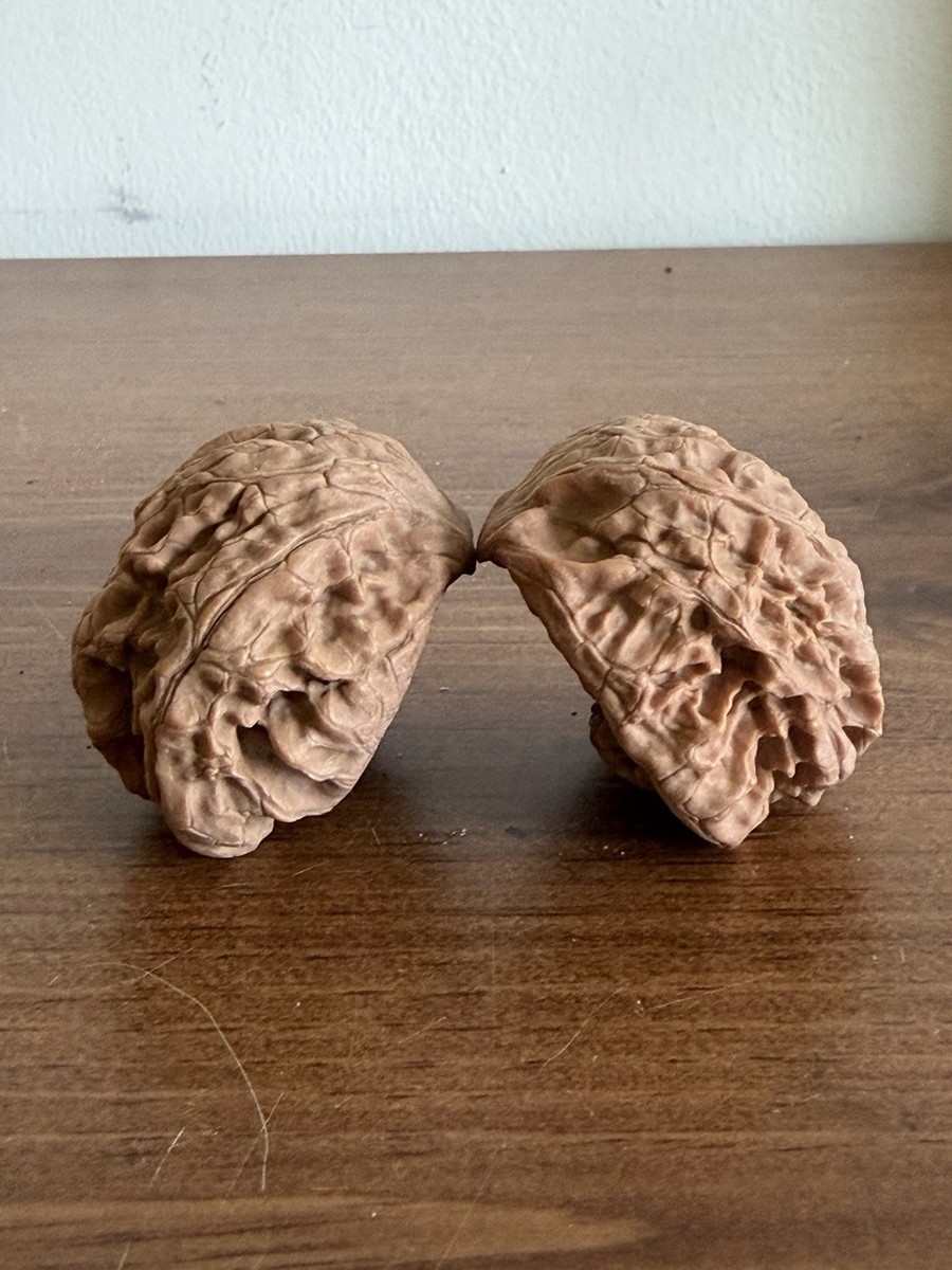 Pair of Match Chinese Health Walnut Collection 精配文玩核桃异形