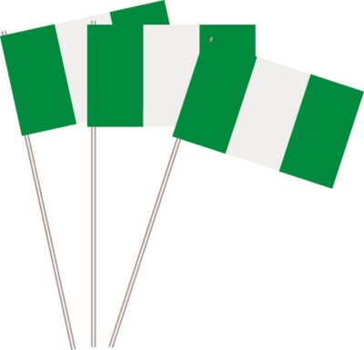 Drapeaux En Papier Algérie - Fanions De Fête 12x24 Cm - Fabriqué En Allemagne - Marque U24