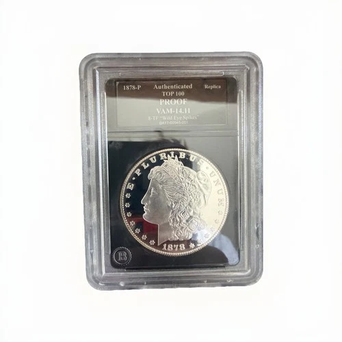 1878-P Morgan Dollar PROOF VAM-14.11 8TF Wild Eye Spikes