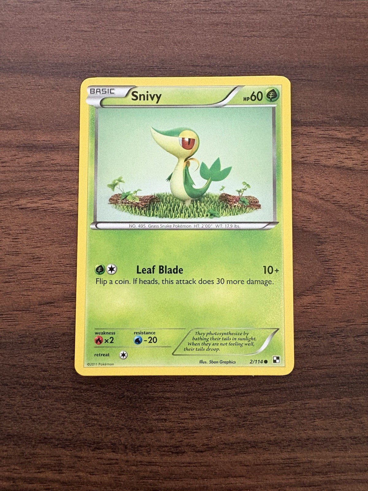 Pokemon TCG Snivy 2/114 Black & White Regular NM