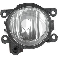 1X Nebelscheinwerfer Diederichs 4416189 FüR Renault Links