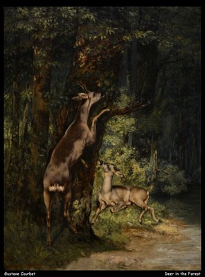Gustave Courbet Hirsch im Wald O 1 Vintage Kunstdruck Poster Wanddeko Deko