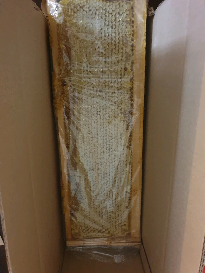 Raw Honeycomb Full Frame (2.3kg ) 2025 NEW HARVEST - ORGANIC HONEY- Acacia - Image 4 of 4