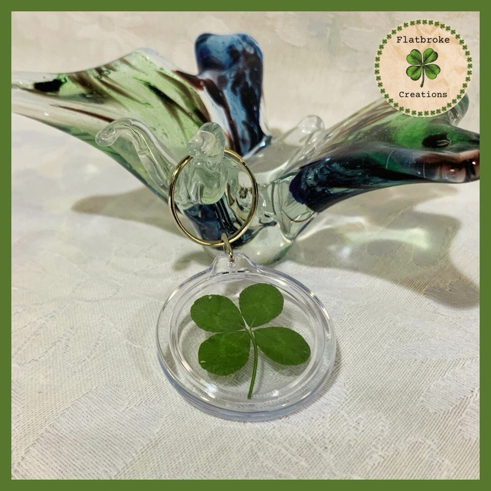 Llavero con dije de buena suerte con un trébol de trébol de cuatro hojas real Foto 3 de 4