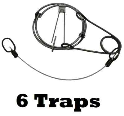 6 RBG #110 4.5 Body Grip Trap Single Spring Rat Trap Trapping Supplies 6 Traps
