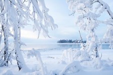 Landscape canada nature cold frost ice snow Custom Gaming Mat Desk