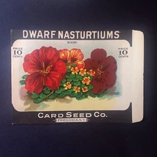 1930-40s Antique Dwarf Nasturtiums Lg Flower Seed Pack Card Seed Co Mint 6x4.25"
