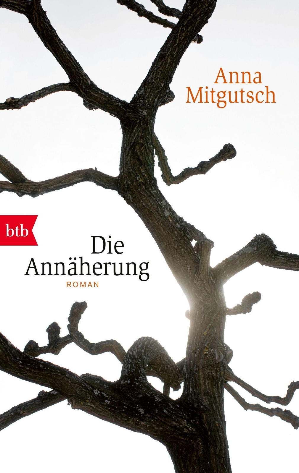 Thumbnail - Die Annäherung Anna Mitgutsch