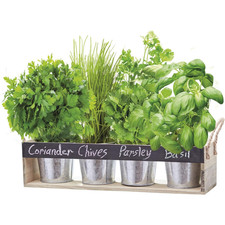 Thompson & Morgan Wooden Herb Chalk Board Gift Set Growing Kit Window Box