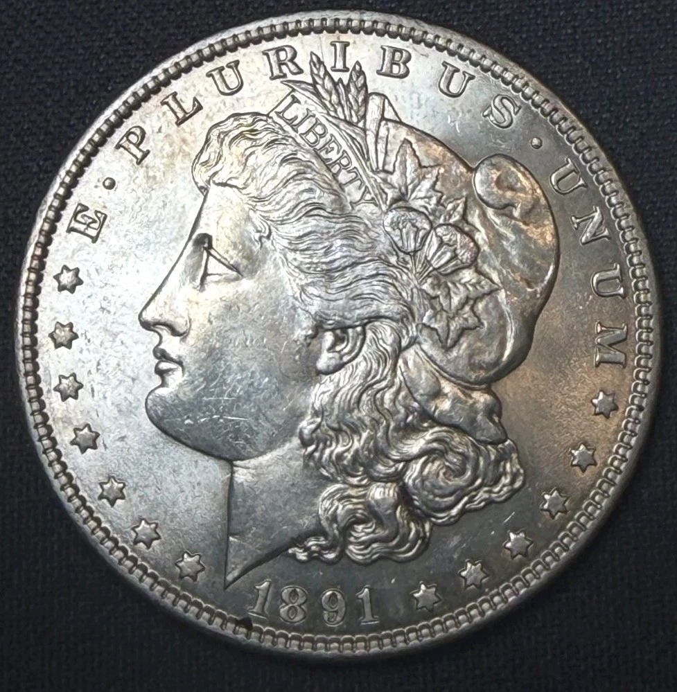 1891 Year Morgan US Dollars (1878-1921) for sale | eBay