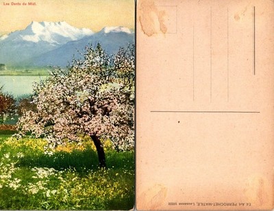 Les Dents du Midi Swiss Alps Blossom Tree Scenic Postcard Unposted Vintage