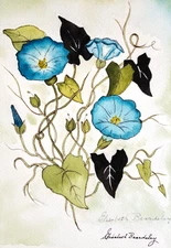 Watercolor Painting Niave Amateur Work 7" X 9" Blue Morning Glories