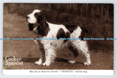 R778995 Cocker Spaniel Mann hat mindestens zwei Freunde Sportex und seinen Hund