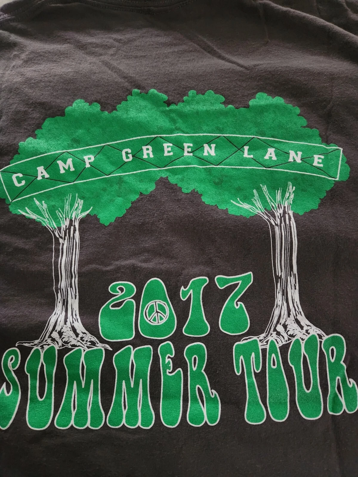 Grateful Dead T Shirt 2017 Camp Green Lane Size Medium