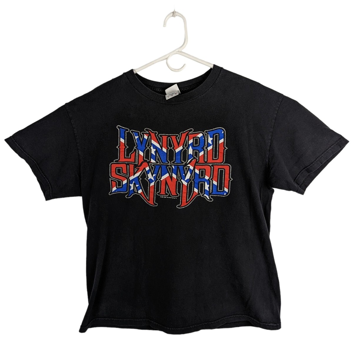 Lanyrd Skynyrd レイナードスキナード バンドTシャツ 2001 M レイナード スキナード・LYNYRD SKYNYRD・BIRD WITH FLAG・T