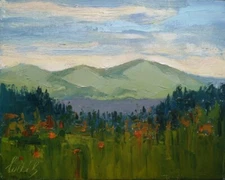 Picture  Вершина из серии " Карпаты"