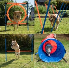 set agility dog 4 in 1 : anello _ tunnel a sacco _ salto _ slalom