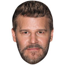 David Boreanaz (Beard) Big Head. Larger than life mask.