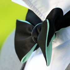 Men's bow tie Black Mint Reversible Silk Self - tied SR355
