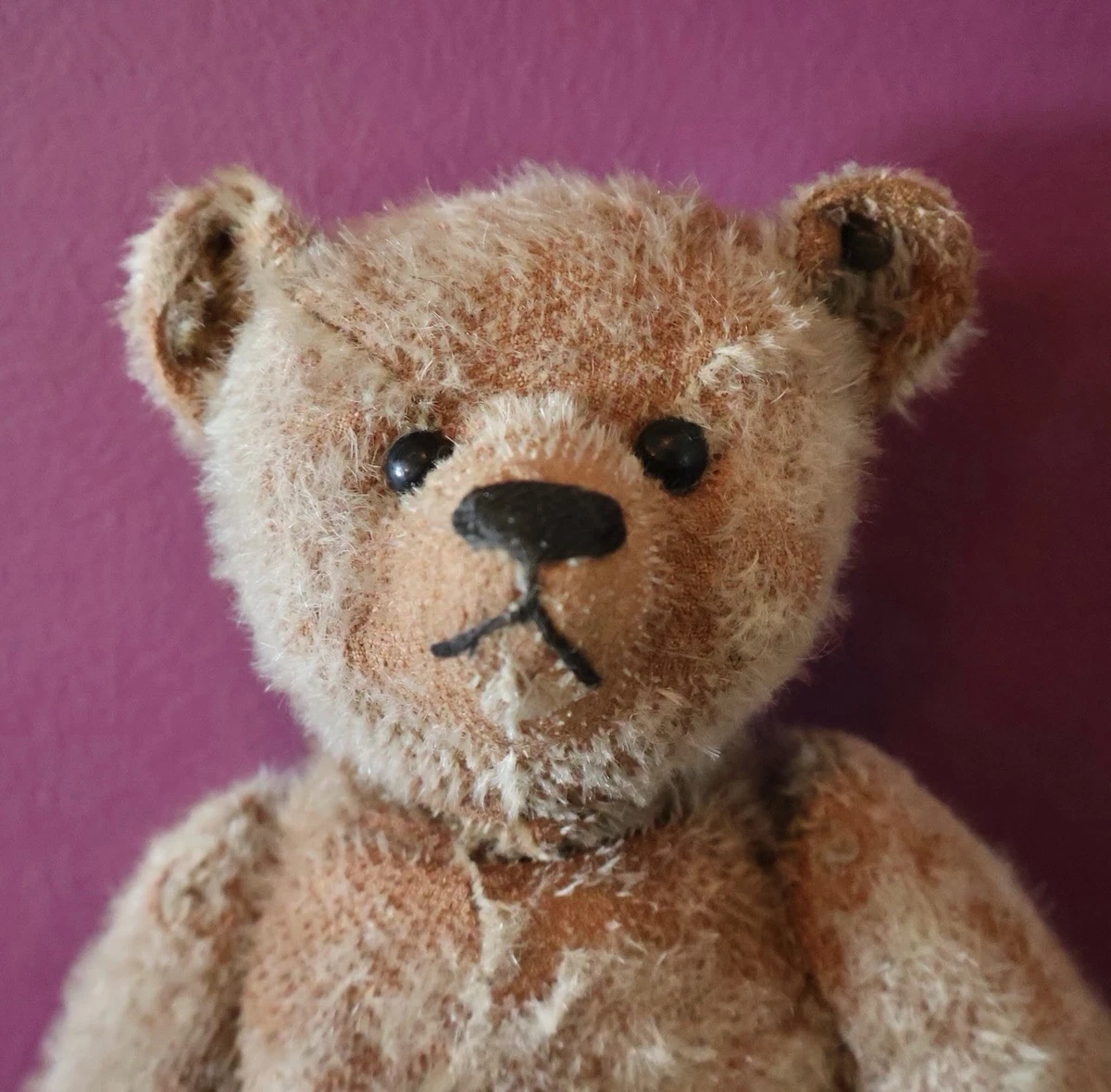 25+ Steiff 11 - 15 in Size Bear Plush Teddy Bears for sale
