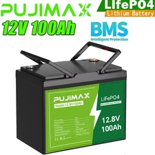 12V 100Ah LiFePO4 Lithium Battery 1280Wh Cycle Deep Built-in BMS for Solar RV