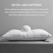 uego De 2 Almohadas De Pluma De Ganso Para Dormir Tama O Queen Blanco NEW