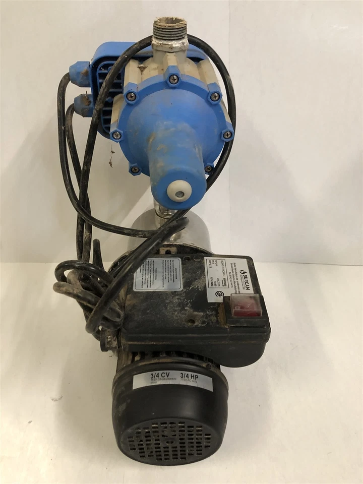 Bombas Bur-Cam 5312467 506532SS 0,75 HP bomba de pozo poco profundo Foto 2 de 3