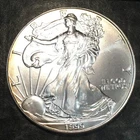 1999 Uncirculated American Silver Eagle US Mint Issue 1oz Pure Silver #N974