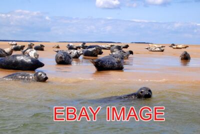 FOTO BLAKENEY PUNKTDICHTUNGEN MIT ALLEN MINUS-NULL TEMPERATUREN EIS UND SCHNEE IT