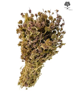 Dried Pennyroyal Mint Whole Bunch | Mentha Pulegium 2025