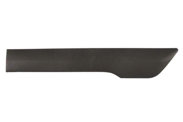 Left Front BLIC 5703-04-2508581P Trim/Protection Strip, quarter panel for FORD