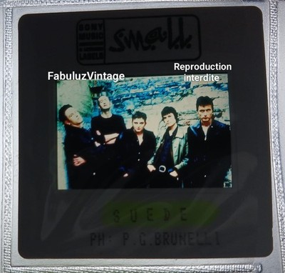 DIAPOSITIVE PRESSE WILDLEDER KLEIN SONY MUSIK LABELS FOTO P.G. BRUNELLI #2