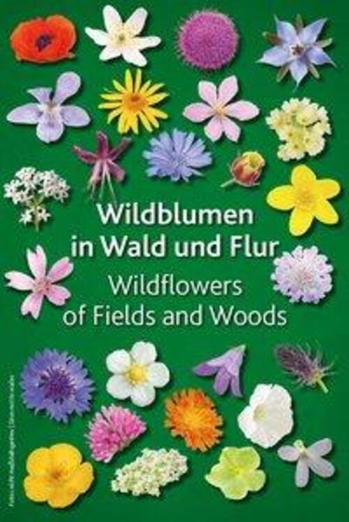 Thumbnail - Wildblumen In Wald Und Flur Wildflowers Of Fields And Woods Buch